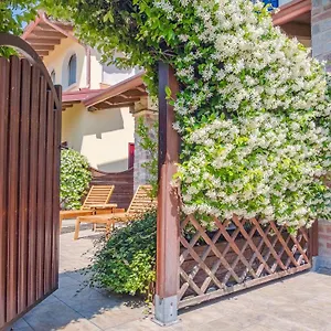 Endless Summer - Italian Homing Sirmione